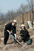 유한킴벌리, 안동 산불피해지서 신혼부부와 희망의 나무 심었다