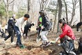 부천시, 식목일 맞아 시민과 함께 원미산 진달래 5000주 식재