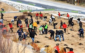[포토] 인제군 식목일 기념 나무심기 행사