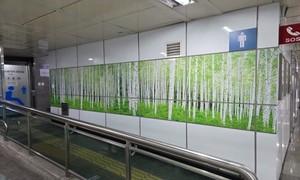 '인제 자작나무숲' 서울 역삼역서 홍보 호응