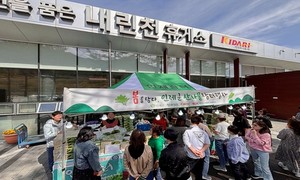 인제 내린천휴게소서 '봄 향기 가득' 산나물 판매 행사