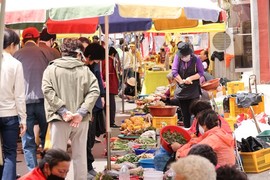 양양전통시장, 향긋한 봄나물에 방문객 ‘인산인해’…오일장 활기 가득