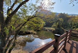“순천·울산 잇는 ‘안동형 국가정원’ 구상”…권기창, 금소지방정원 카드 꺼냈다
