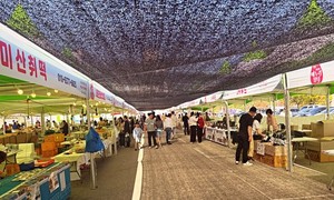 인제 에누리장터 첫 개장 대박 마감