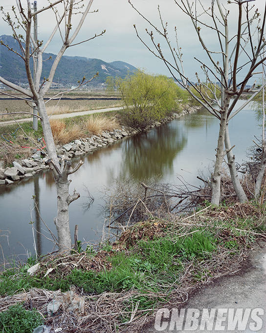 ‘Landscape Nr.1’, chromogenic color print, 188×151cm, 2011. (제공=갤러리 현대)