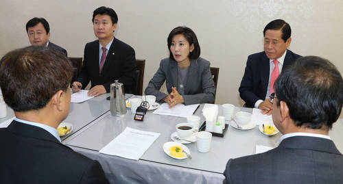 새누리당 나경원 의원이 29일 국회 의원회관에서 열린 '대한민국의 미래를 생각하는 모임' 첫 공식회의에서 인사말을 하고 있다. 사진=연합뉴스