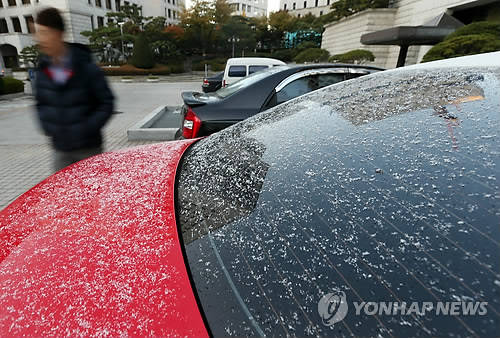 1일 오전 서울·경기 지역 등 수도권 곳곳에서 눈이 내렸다.(사진=연합뉴스)