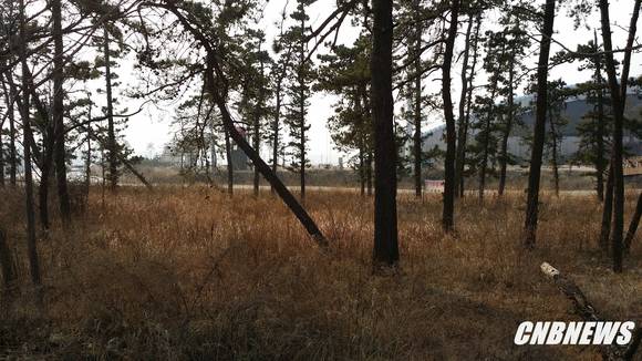 ▲(사진제공=강릉시청)