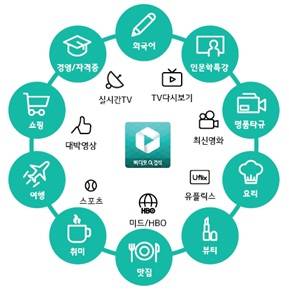 LTE비디오포털 개념도. (사진제공=LG유플러스)