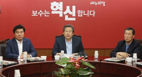 새누리당 김무성 대표가 28일 오후 여의도 당사 회의실에서 선거구 획정 문제 등을 논의하기 위해 열린 전략회의에서 모두발언을 하고 있다.(사진=연합뉴스)