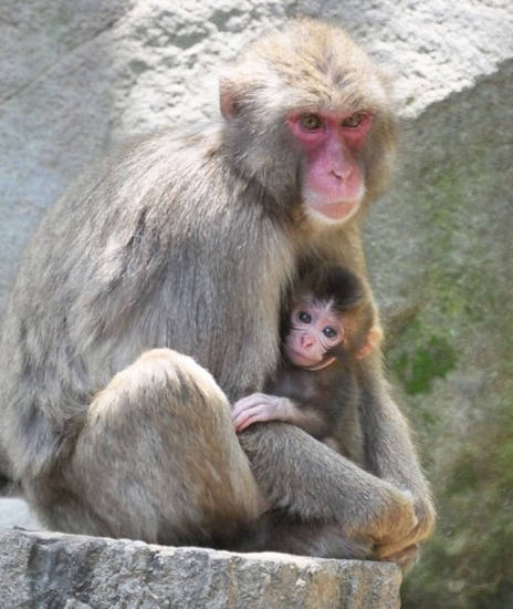 사진은 기사 특정 사실과 관련 없음. 사진 = 연합뉴스