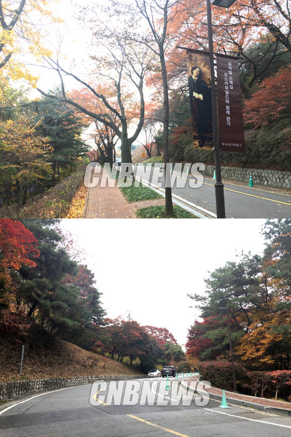 가을 단풍이 절정을 이루고 있는 워커힐호텔 산책로. (사진=김유림 기자)
