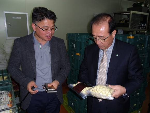 aT 김동열 수급이사(사진 오른쪽)가 제주 대정농협 유통센터 마늘가공공장을 방문하고 있다.(사진제공=한국농수산식품유통공사)