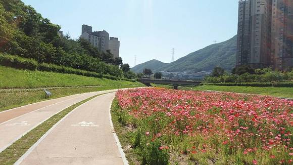기장군 정관신도시 좌광천 전경 (사진제공=기장군)