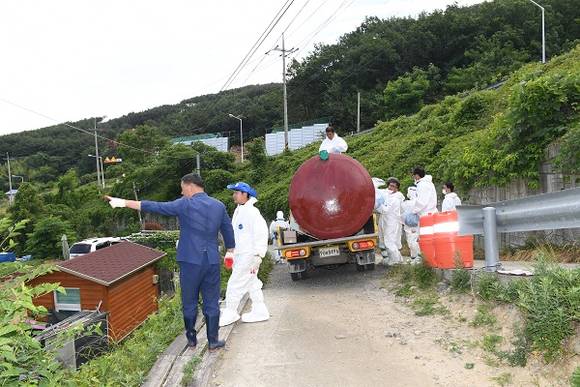 오규석 기장군수가 매몰작업 현장에서 작업을 지휘하고 있다. (사진제공=기장군)