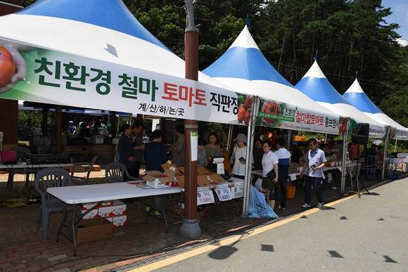 2016년 기장군 청정지역 철마찰토마토 행사 모습 (사진제공=기장군)