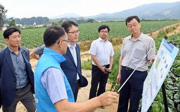 여인홍 aT 사장이 지난 21일 장마철 준고랭지 배추 포전 현장을 점검하고 있다. (사진제공=aT)