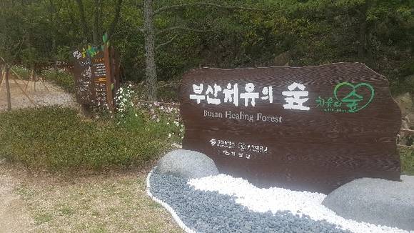 부산시는 부산대 학술림 부지와 기장군 소유 임야를 제공받아 기장군 철마면 장전리 산180-2번지 일원에 '치유의 숲'을 개원한다고 1일 밝혔다. (사진제공=부산시)
