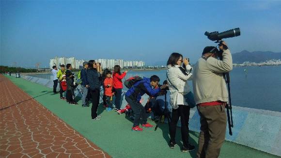 '일일탐조학교' 운영 상황. (사진제공=부산시)