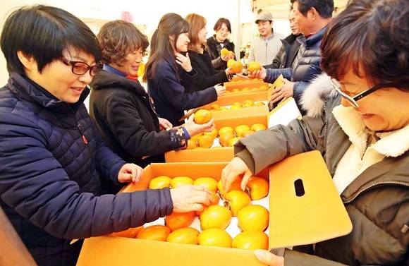 신세계 센텀시티점 '농산물직거래장터'를 찾은 손님들이 단감을 구경하고 있다. (사진제공=신세계 센텀시티점)