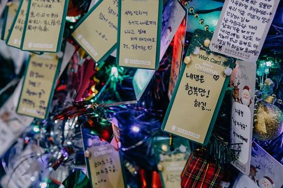 경성대 중앙도서관에 설치된 '소망트리'에 적힌 소망글들. (사진제공=경성대)
