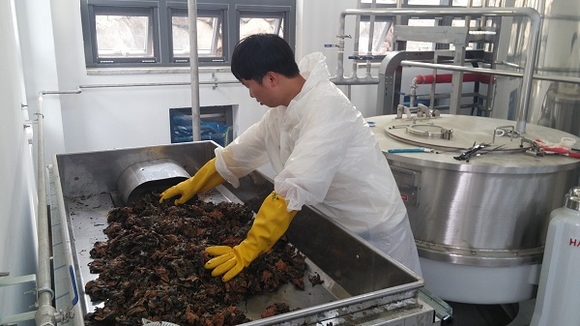 불가사리 세척 및 분쇄 과정 (사진제공=기장군)