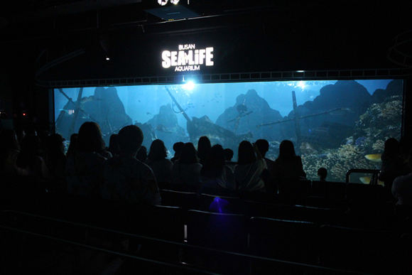 SEA LIFE 부산아쿠아리움의 초대형 수조가 시네마 스크린으로 변하는 '딥시네마월드'를 관람하고 있다. (사진제공=부산아쿠아 리움)