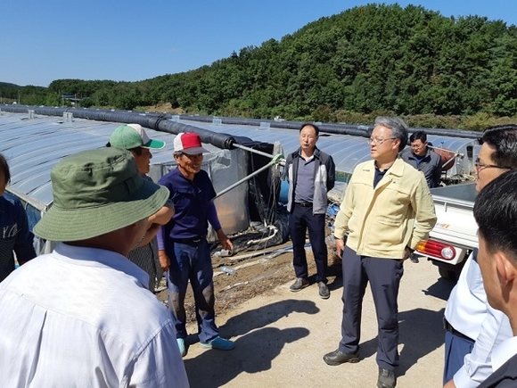 경남농협 하명곤 본부장(가운데 오른쪽)이 7일 태풍 '콩레이'에 따른 농작물 침수피해를 입은 창녕군 대지면 용소마을 피해농가를 방문해 현장을 둘러보고 있다. (사진=경남농협)