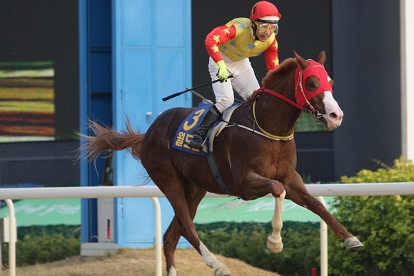 지난해 제1회 김해시장배 대상경주 우승마 결승선 통과 모습. (사진=렛츠런파크 부경)
