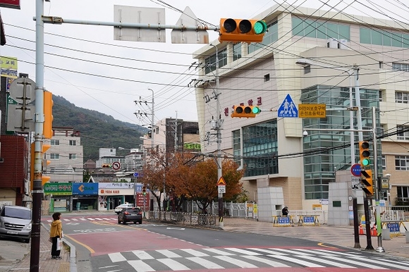 부산 온천초등학교 앞 '노란신호등' 설치 모습. (사진=동래구)
