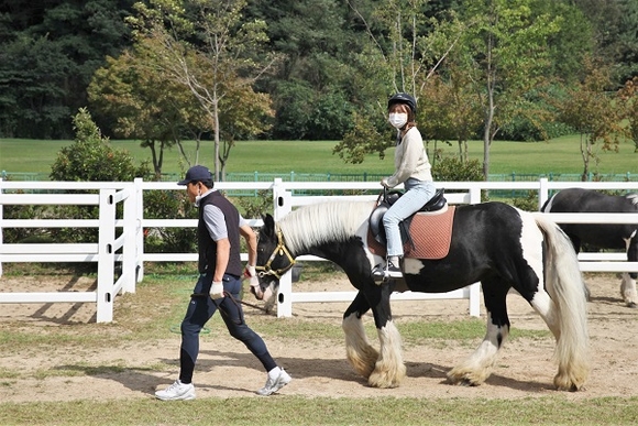 한국마사회 부산경남지역본부 이미지