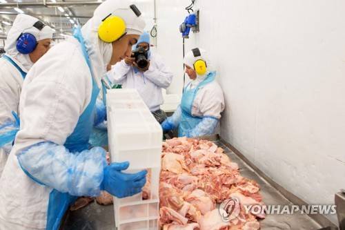 브라질에서 부패한 고기를 유통한 회사들이 대거 적발된 가운데, 한국에 수출하는 회사도 포함된 것으로 드러났다. (사진=연합뉴스)