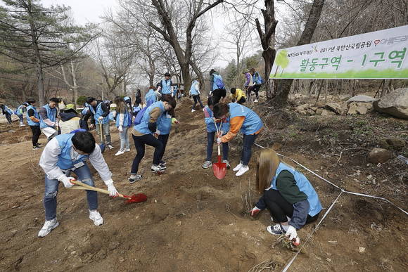 KT&G복지재단이 지난 8일 북한한국립공원 내 송추계곡 부근에서 대학생 자원봉사자들 100여 명과 함께 북한산 자생종 산수국 2000그루를 심고 있다. (사진=KT&G)