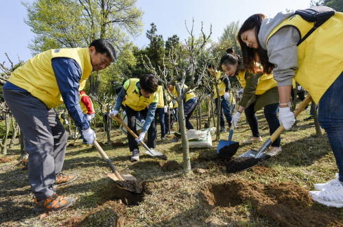 대림산업 오규석 사장(좌측 첫번째)과 대림그룹 직원들이 무궁과 나무에 거름을 주고 있다. (사진=대림산업)