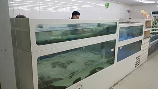 강원 평창 휘닉스파크에 위치한 CU 센타프라자점에 설치된 수족관. (사진=BGF리테일)