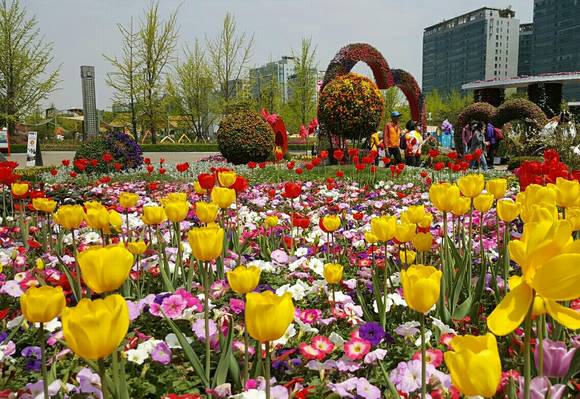 2017고양국제꽃박람회 전경(사진= 김진부 기자)