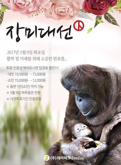 테마동물원쥬쥬의 9일 장미대선 투표참여 이벤트 포스터(사진= 테마동물원쥬쥬)
