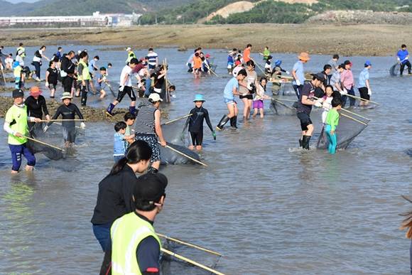 화성 뱃놀이 축제의 백미인 ‘독살 물고기 잡기 체험’에 나선 관광객들이 물고기 잡기에 여념이 없다.(사진=화성시)