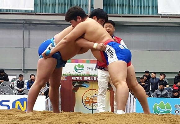 제70회 전국씨름선수권대회 모습 ㅣ사진=인제군 제공