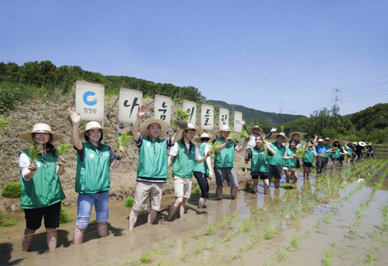 대상(주) 봉사단과 대학생들은 지난 5월 경기도 양주시 광적면 비암리 마을에서 '나눔의 들판' 프로젝트의 일환으로 모심기를 했다. (사진=대상)
