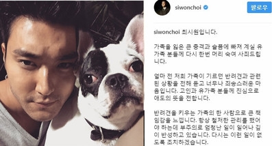 한일관의 대표를 문 것으로 알려진 배우 최시원 가족의 반려견.(사진 = 연합뉴스)