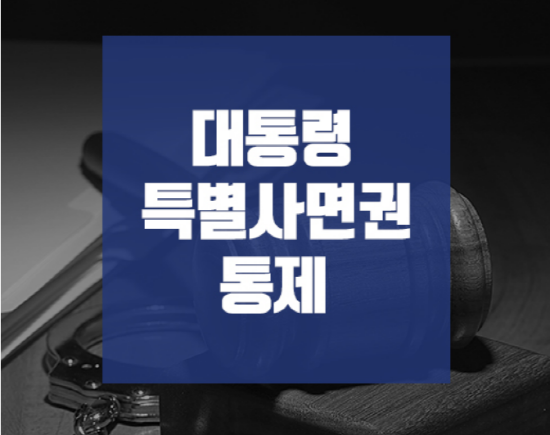 대통령의 특별사면권을 제한해야 한다는 목소리가 높아지고 있다. (사진=국민헌법자문특별위원회 홈페이지 캡쳐)