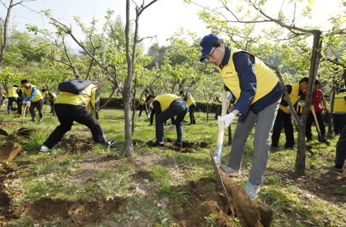 대림산업 박성우 부사장(맨앞)을 비롯한 임직원들이 남산 야외식물원 유실수 단지에서 거름주기 활동을 펼치고 있다. (사진=대림산업)