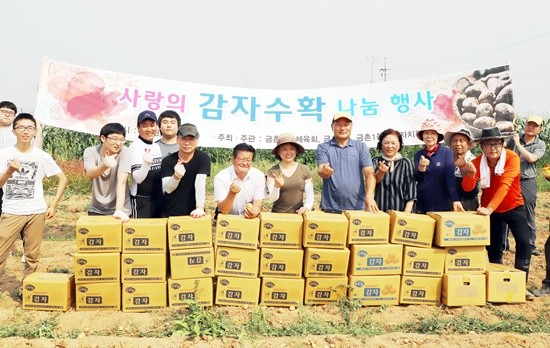 파주시 금촌1동 체육회 감자수확 나눔행사 개최