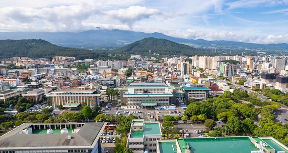 <b>제주</b>산 <b>마늘</b> 2차생장 <b>피해</b> 농업재해로 인정 정부지원 받는다