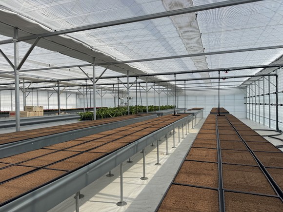 고양시가 접목 선인장 무병종묘 보급 확대에 나선 모습