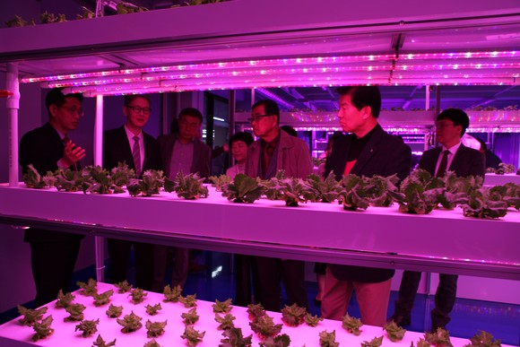 중부대학교가 충청국제캠퍼스에 스마트팜 혁신허브를 열고 지역 연계 실증에 나선 모습.