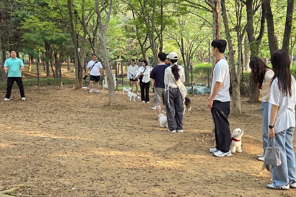 고양시가 동물교감치유 프로그램과 반려동물 인프라를 함께 확대하고 있다.