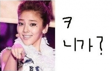 인터넷 포털 사이트에 퍼져있는 손담비의